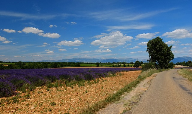 Entdecke Ausflüge in der Provence Südfrankreich